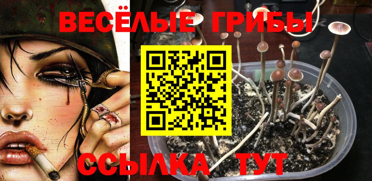 Галлюциногенные грибы ЛСД  Вход с VPN  Псилоцибиновые грибы Cubensis  Миасс 